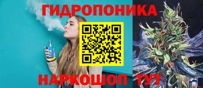 СК Лесосибирск