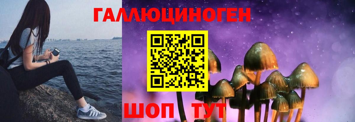 Екатеринбург  Галлюциногенные грибы прущие грибы  Галлюциногенные грибы прущие грибы  Вход с VPN 